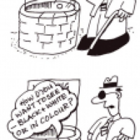 Wishing well