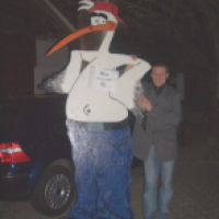 Storch in voller Größe