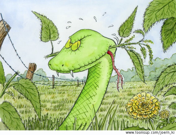 Illustration: Die mollige Mamba - Bildergeschichte für TV 11