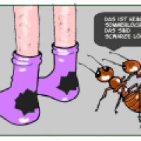 Schwarze Löcher
