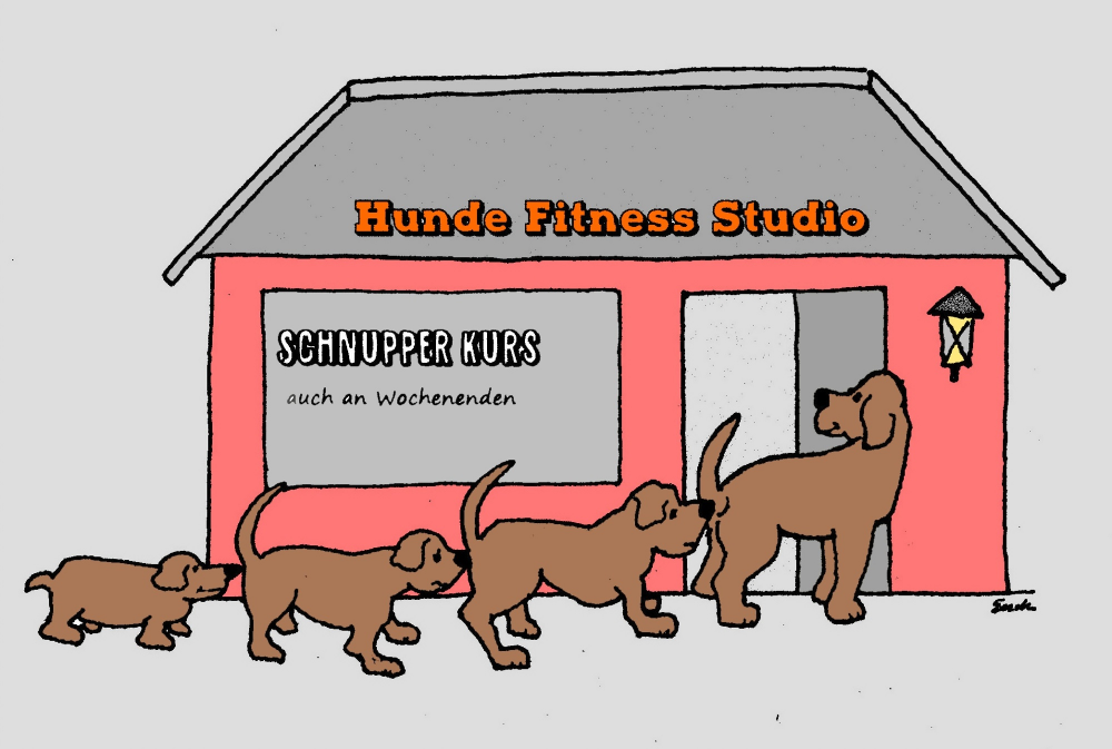 Cartoon: Hunde Fitness Studio 1