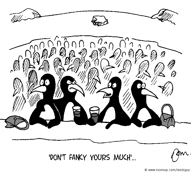 Cartoon: Penguins 1