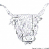 Zuviele Haare