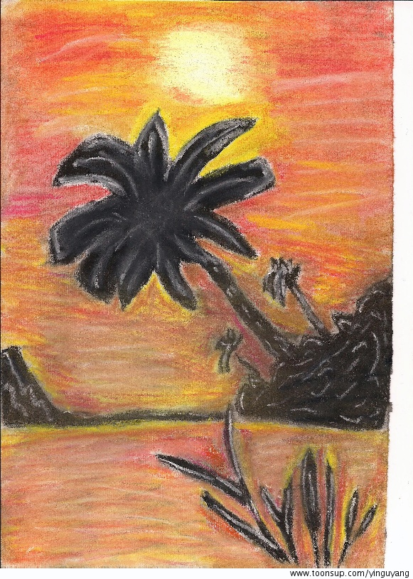 Anderes: Palme unter der Sonne 1