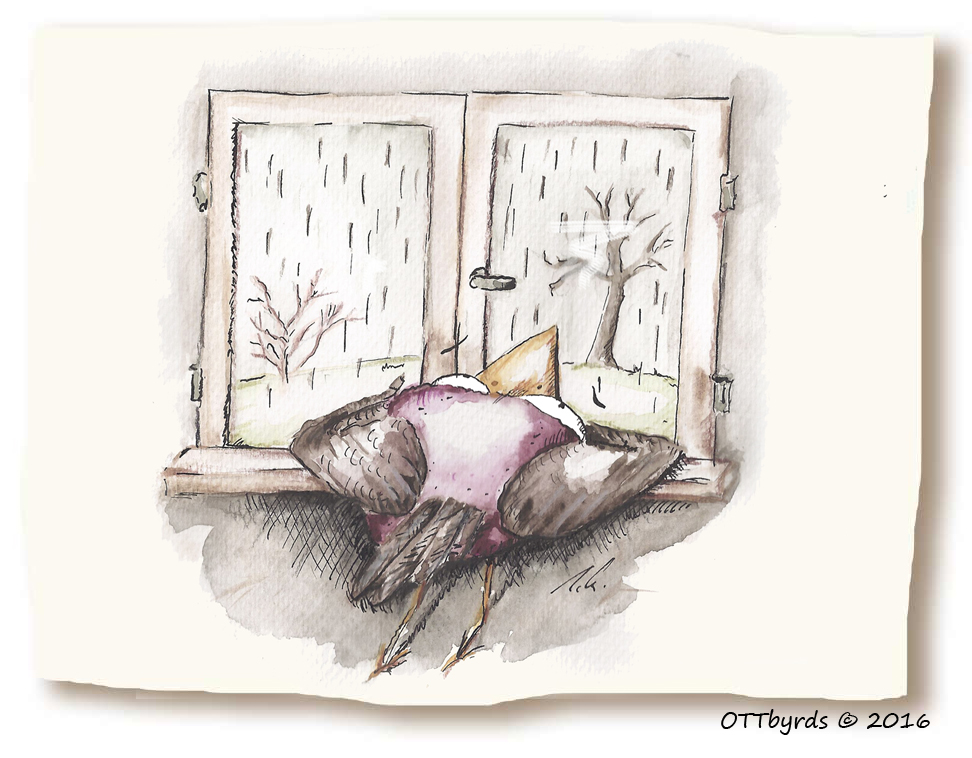 Cartoon: WINTERDEPRESSION 1