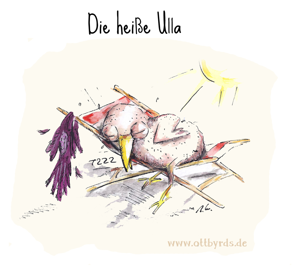 Cartoon: Die heiße Ulla 1