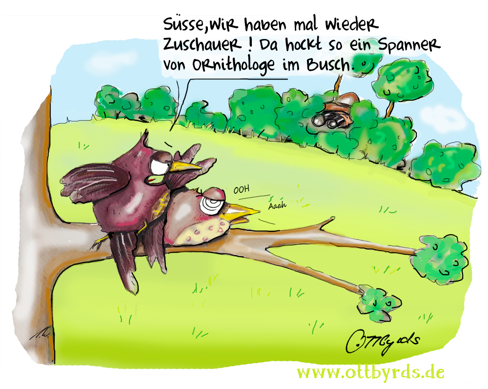 Cartoon: Voyeurismus 1