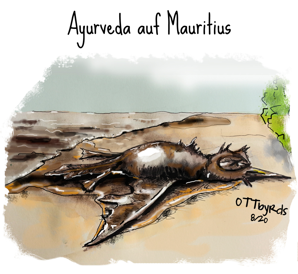 Cartoon: Ayurveda auf Mauritius 1