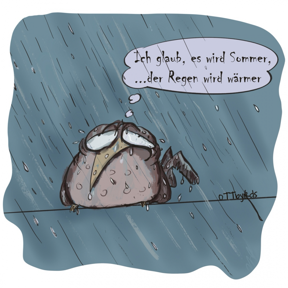 Cartoon: Der Optimist 1