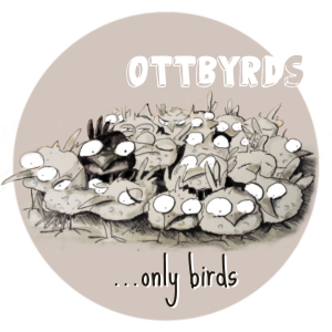 collection_10975.png