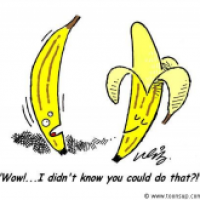 Banana peel?!