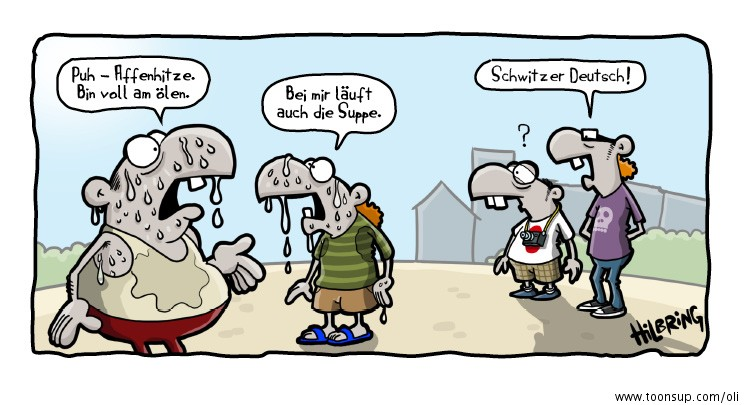 Cartoon: Sommer-Schluss-Cartoon! 1