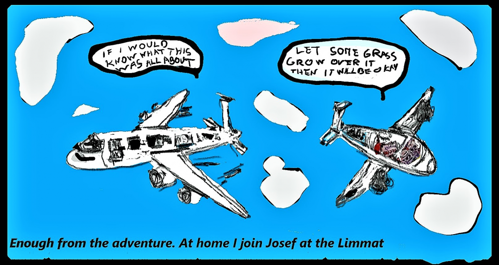 Comic: appendix mary miller part 1 the quick trip to big sur 22