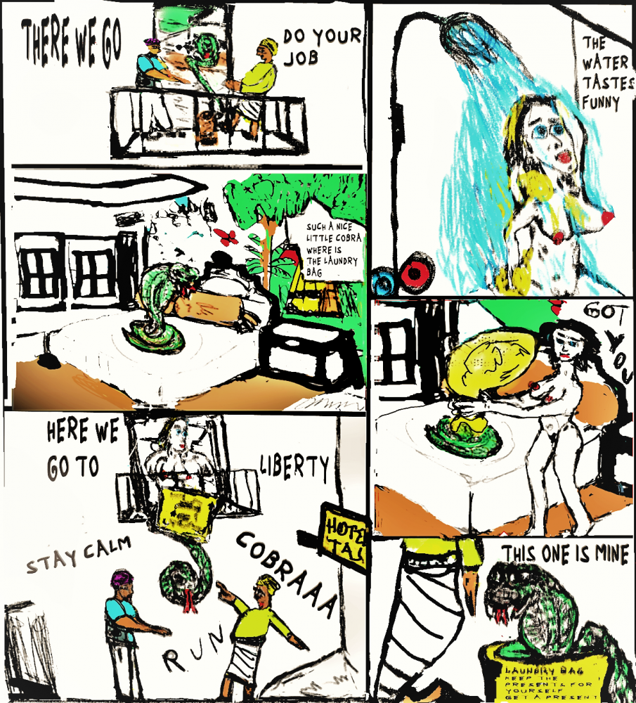 Comic: MARY MILLER IN INDIA 12