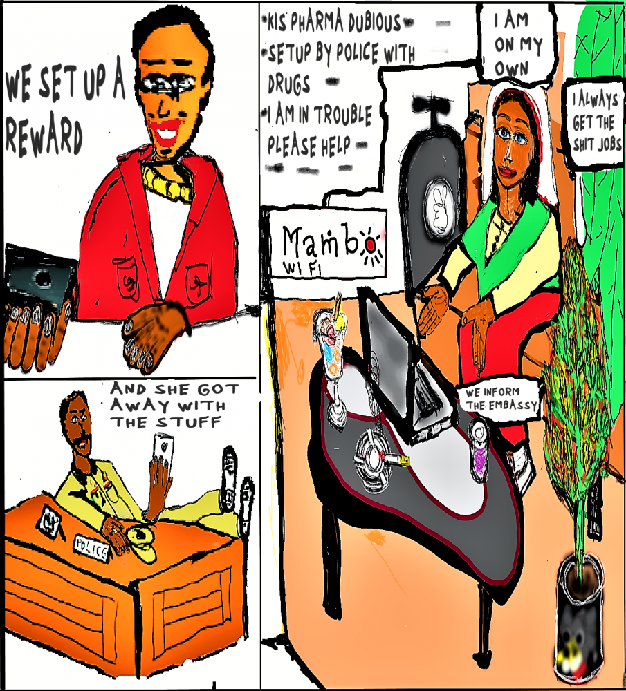 Comic: Mary in india  - in trouble 6