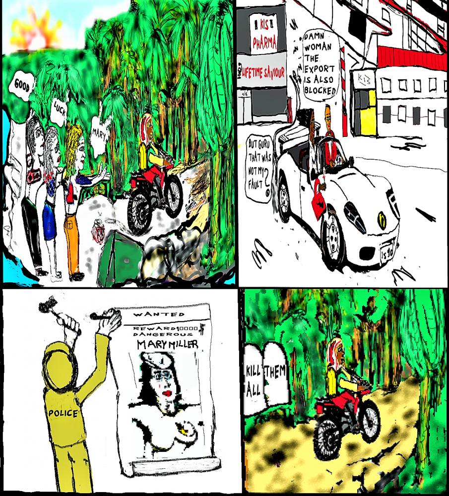 Comic: Mary in india  - in trouble 8