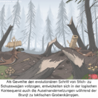 Brunft