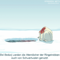 Jäger unter sich
