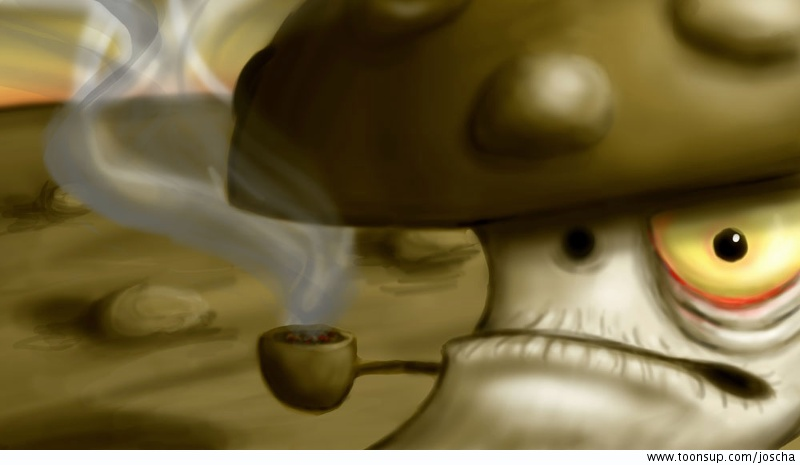 Illustration: Pilz 1