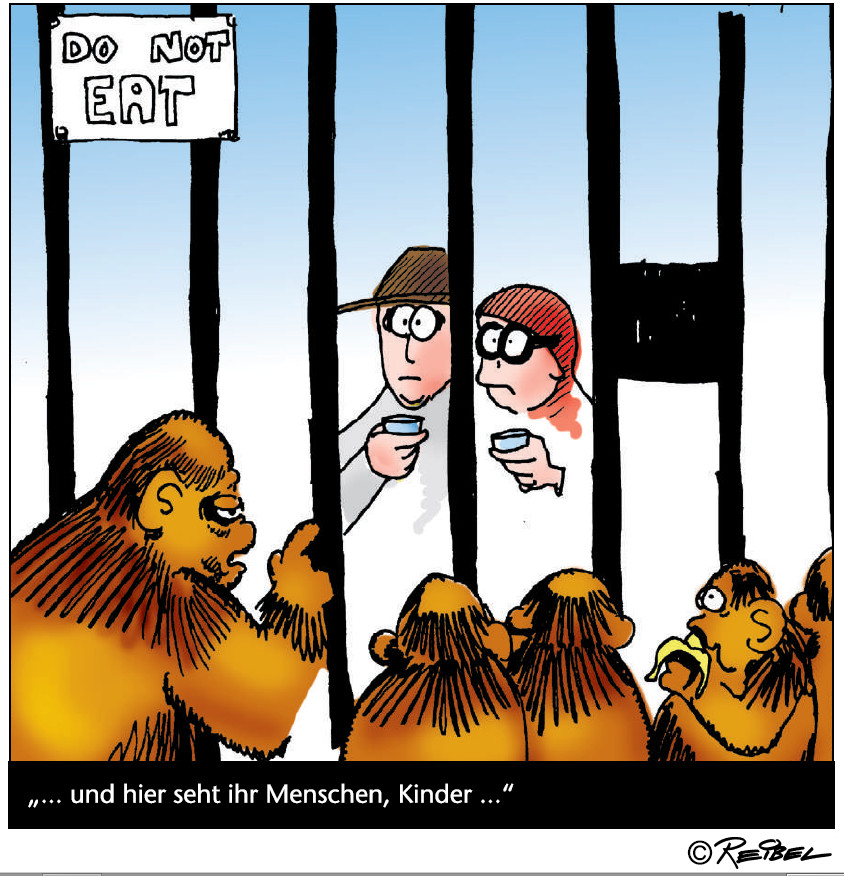 Cartoon: Klassix 5 1