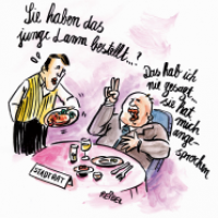 Miss-Verständnis