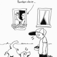 Blaues Wunder erleben