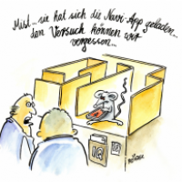 Intelligenztest