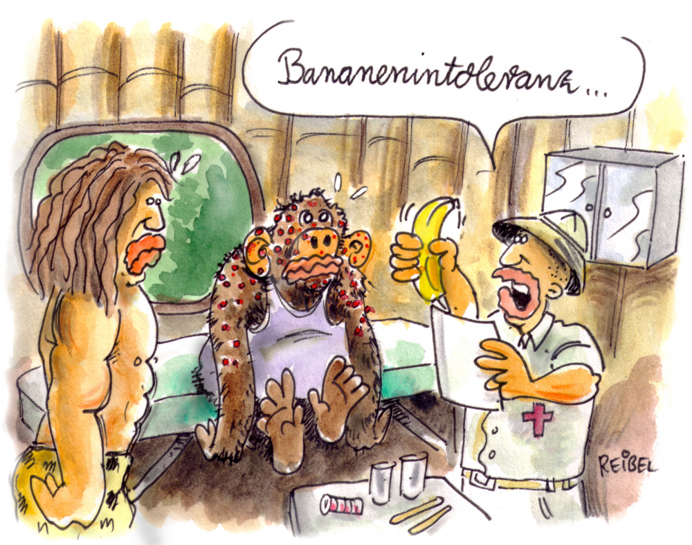 Cartoon: Dschungelfieber 1
