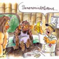 Dschungelfieber