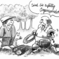Waldweg