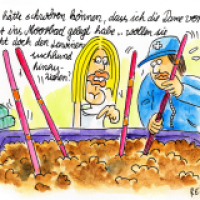 wellnesser