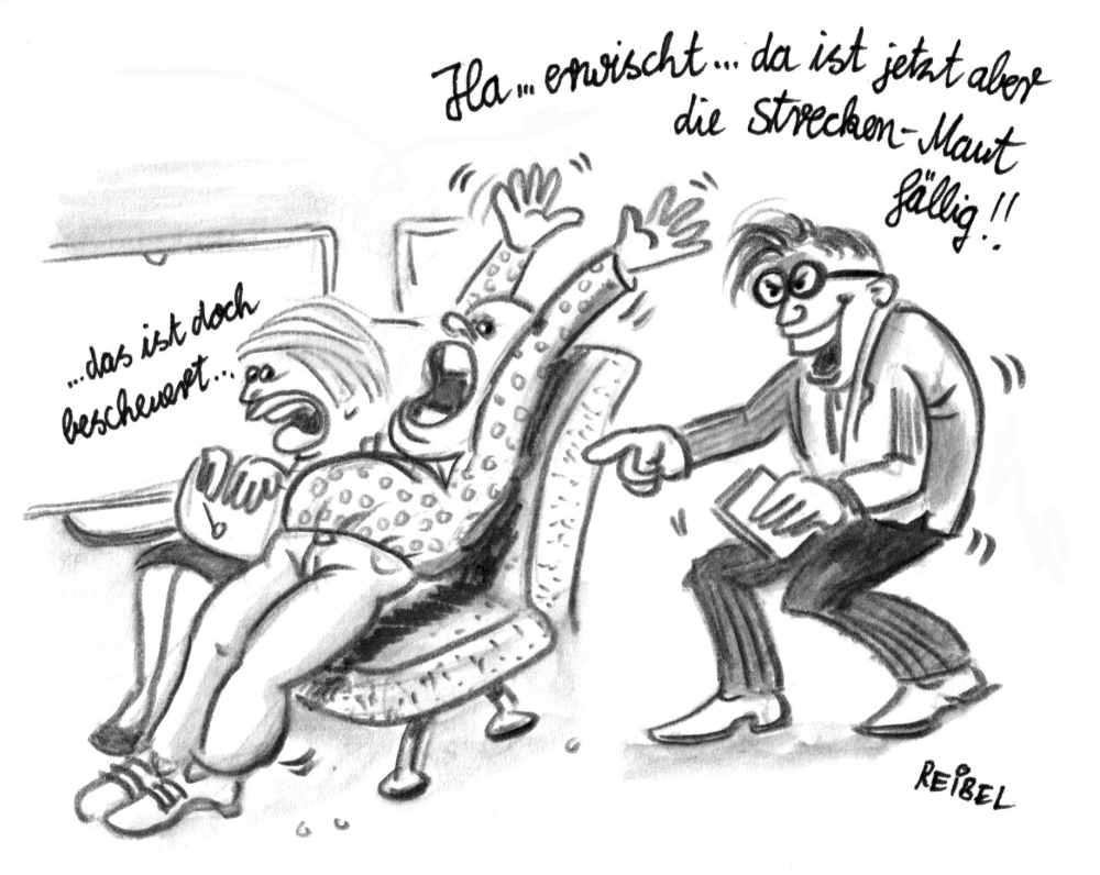 Cartoon: Jahresrückblick: Mautminister 1