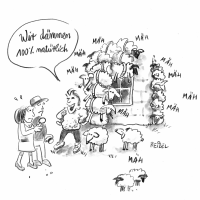 Woll-Lust