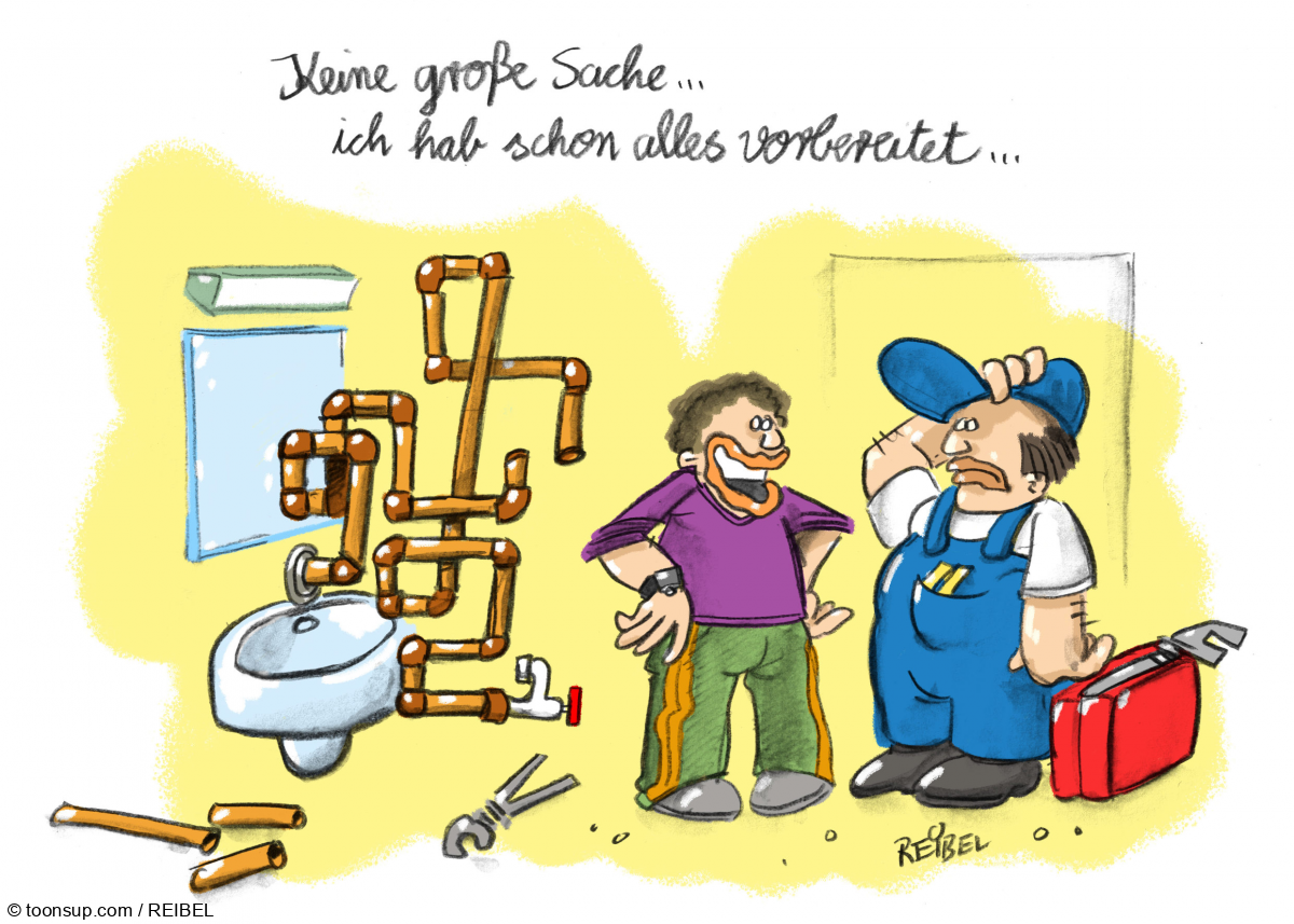 Cartoon: Laien-Profi 1