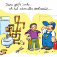 Laien-Profi