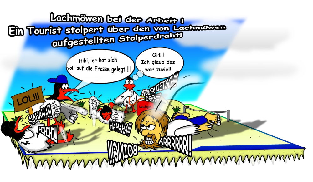 Cartoon: Lachmöwen 1