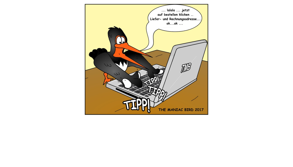 Comic: Internetbestellung 3