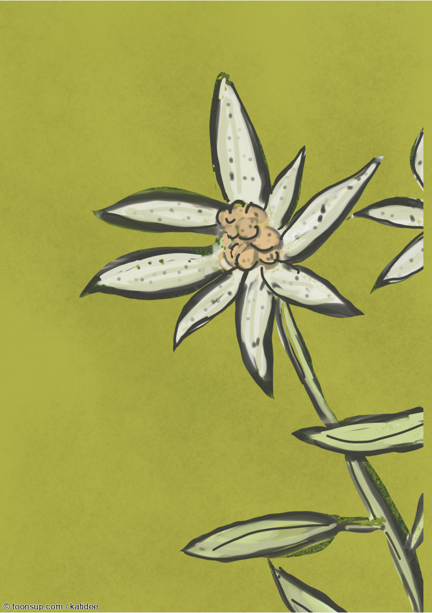 Comic: WANDERLUST 17