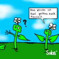 Der Herbst kommt.