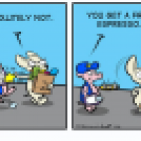 Opinion Poll