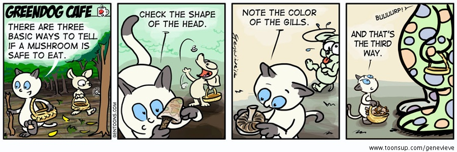 Cartoon: Wie Kennt man Giftpilze? 1