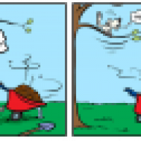 Kompost