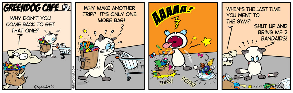 Comic: Einkaufen Katastrophe 1