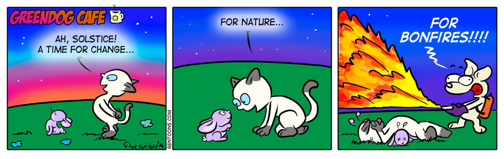 Comic: Sonnenwende 1