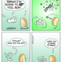 Bun 005 Hungry Dog