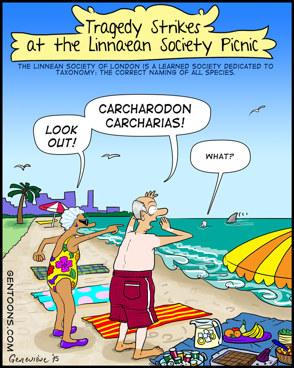 Cartoon: Shark Days 5