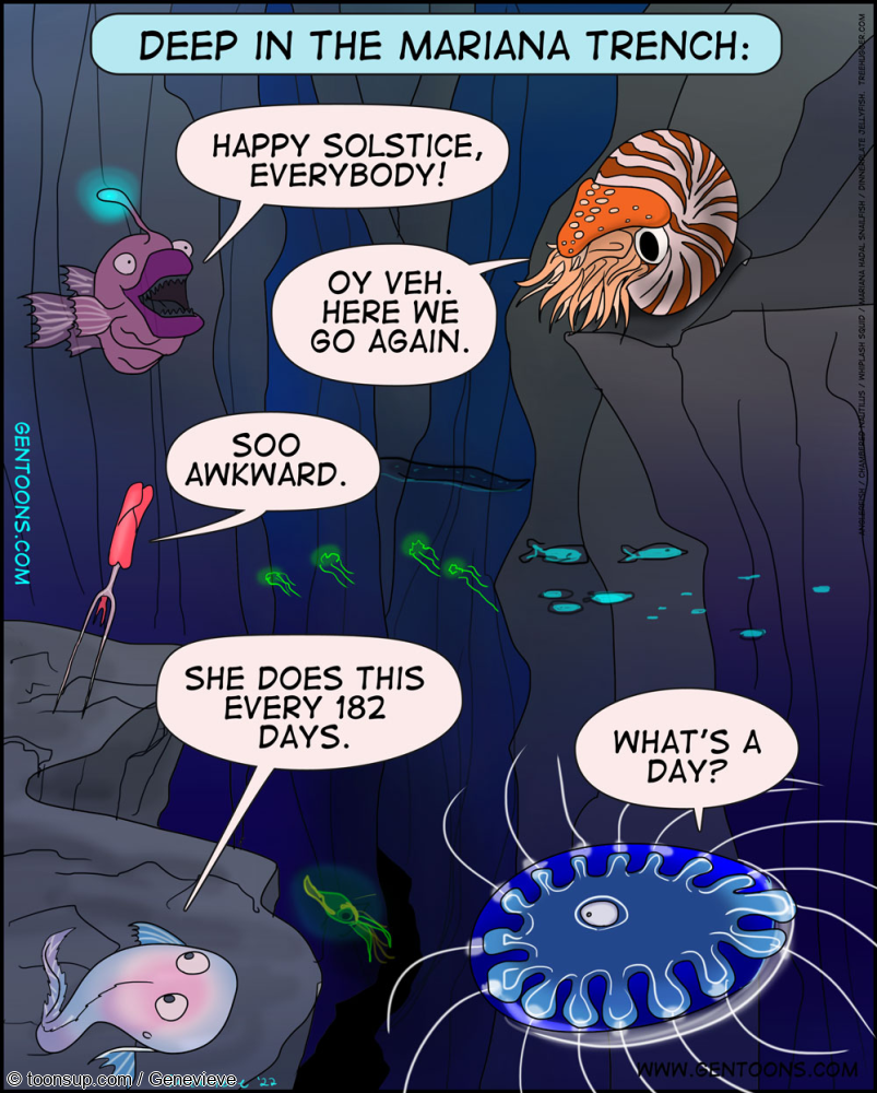 Cartoon: Solstice 2022 1