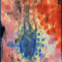 aquarell 1996-n.2