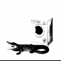 Kroko