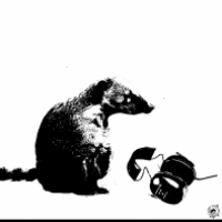 Opossum